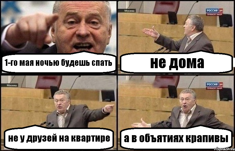 1-го мая ночью будешь спать не дома не у друзей на квартире а в объятиях крапивы, Комикс Жириновский