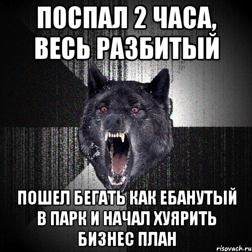 поспал 2 часа, весь разбитый ПОШЕЛ БЕГАТЬ КАК ЕБАНУТЫЙ В ПАРК И НАЧАЛ ХУЯРИТЬ БИЗНЕС ПЛАН, Мем  Злобный волк