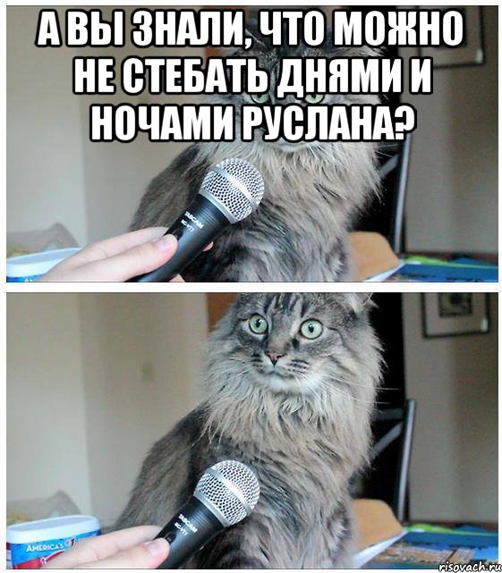 а вы знали, что можно не стебать днями и ночами руслана? , Комикс  кот с микрофоном