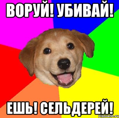 ВОРУЙ! УБИВАЙ! ЕШЬ! СЕЛЬДЕРЕЙ!, Мем Advice Dog