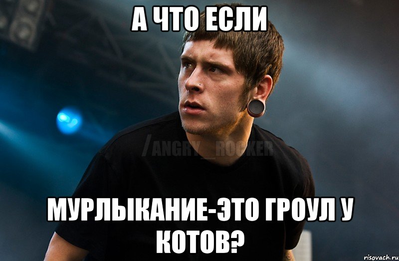 А что если мурлыкание-это гроул у котов?, Мем Агрессивный Рокер Мое лицо когда