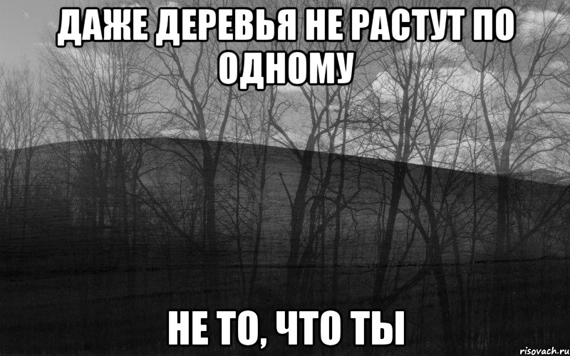 Даже деревья не растут по одному не то, что ты, Мем безысходность тлен боль