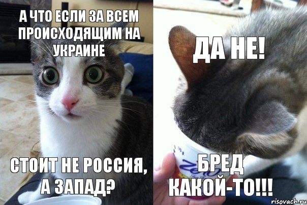 А что если за всем происходящим на Украине стоит не Россия, а Запад? Да не! Бред какой-то!!!, Комикс  Да не бред какой-то (4 зоны)