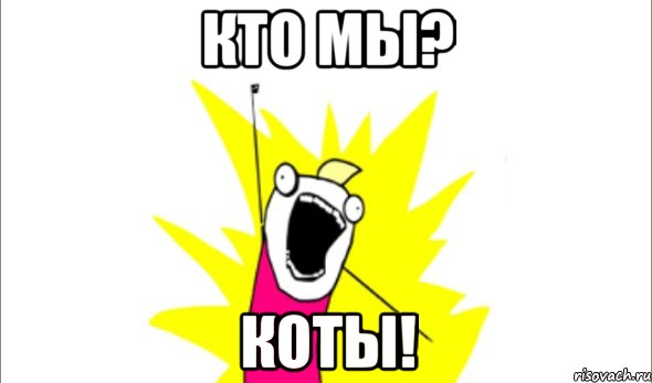 Кто мы? Коты!, Мем Что мы хотим