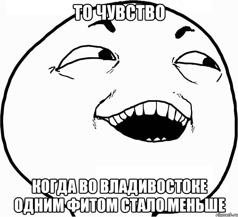 то чувство когда во Владивостоке одним фитом стало меньше, Мем Дааа