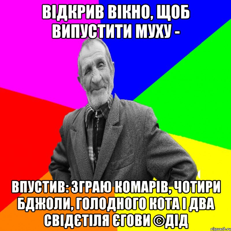 відкрив вікно, щоб випустити муху - впустив: зграю комарів, чотири бджоли, голодного кота і два свідєтіля Єгови ©ДІД, Мем ДЕД