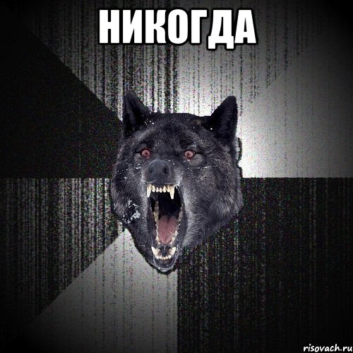 НИКОГДА , Мем  Злобный волк