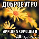 Хорошего дня иришка картинки