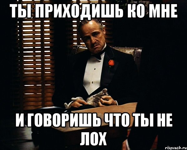 Суки вонючие. Ты приходишь ко мне. Приди ко мне. Ты по адресу пришла. Слова Дона Корлеоне ты приходишь ко мне.