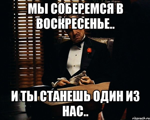 Воскресение собраться. Соберемся. Ты один из нас Мем. В воскресенье будет туса. Мы собрались.