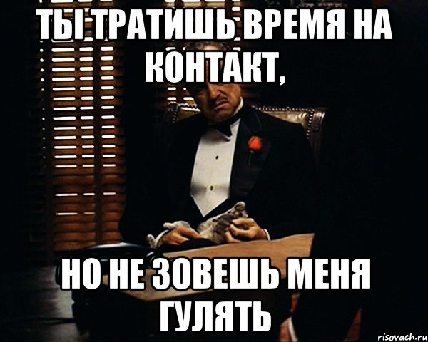 Возле дома твоего зову тебя гулять. Трата времени Мем. Ты тратишь мое время. Ты слишком молод чтобы звать меня гулять. Не зовешь гулять.