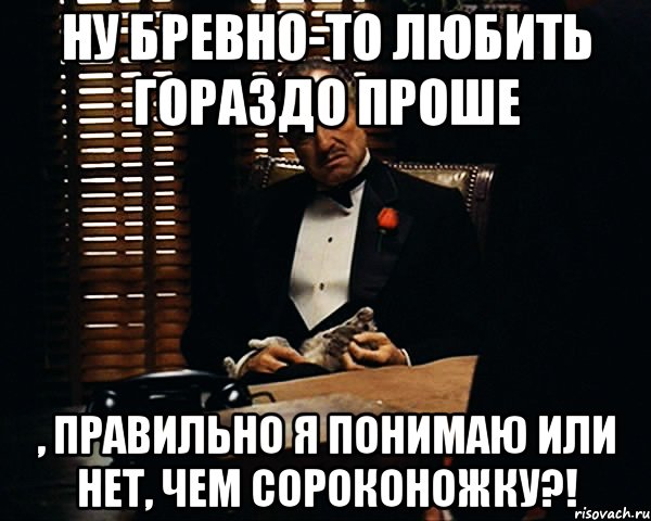 Как правильно поняла или поняла. Поняла или поняла. Я правильно понимаю. Меня понимают или нет.