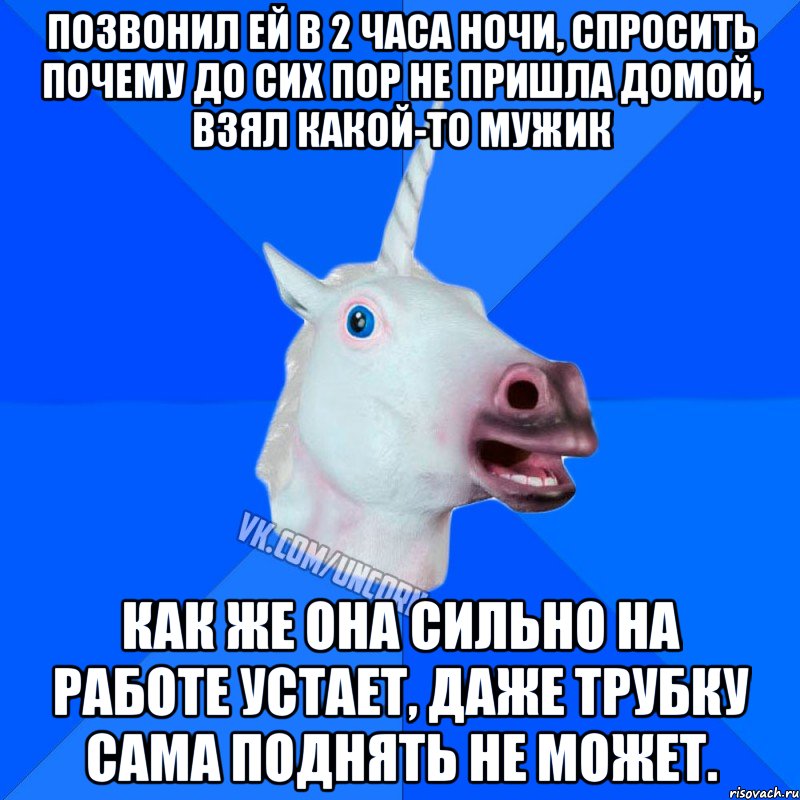 позвонил ей в 2 часа ночи, спросить почему до сих пор не пришла домой, взял какой-то мужик как же она сильно на работе устает, даже трубку сама поднять не может., Мем Единорог