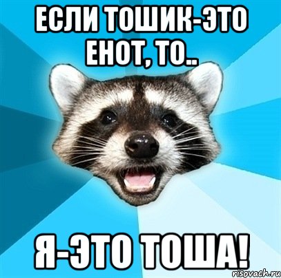 Если Тошик-это енот, то.. я-это Тоша!, Мем Енот-Каламбурист