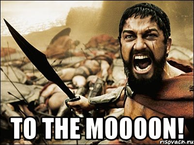  TO THE MOOOON!, Мем Это Спарта