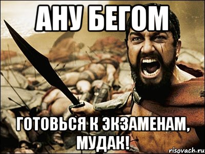 ану бегом готовься к экзаменам, мудак!, Мем Это Спарта