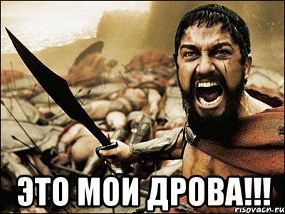  ЭТО МОИ ДРОВА!!!, Мем Это Спарта