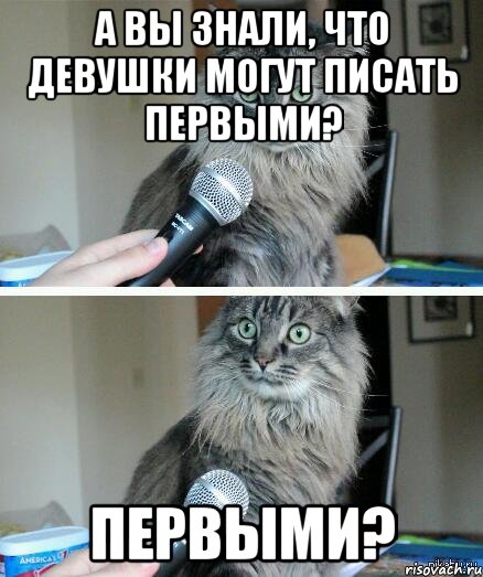 а вы знали, что девушки могут писать первыми? первыми?, Комикс  кот с микрофоном