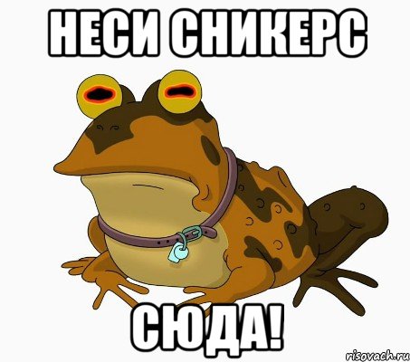 неси сникерс сюда!, Мем  гипножаба