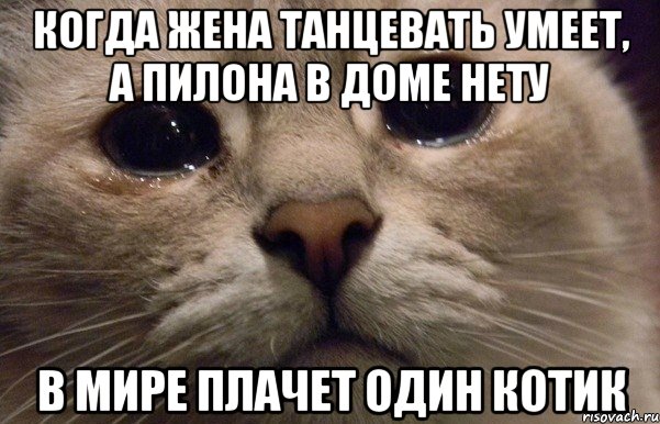 когда жена танцевать умеет, а пилона в доме нету в мире плачет один котик, Мем   В мире грустит один котик