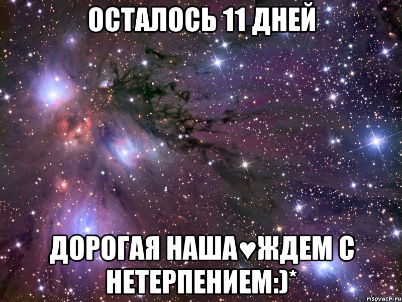 Осталось 11 дней