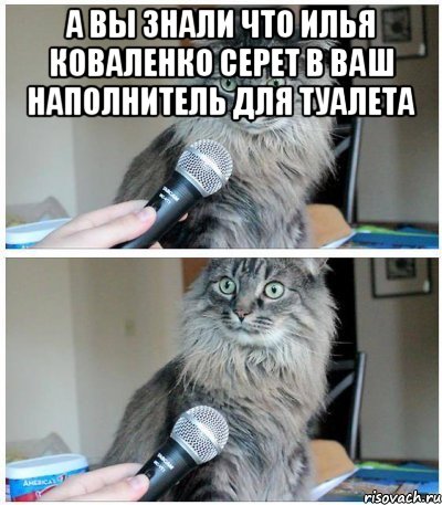 А вы знали что Илья коваленко серет в ваш наполнитель для туалета , Комикс  кот с микрофоном