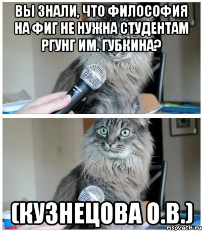 Вы знали, что философия на фиг не нужна студентам РГУНГ им. Губкина? (Кузнецова О.В.), Комикс  кот с микрофоном