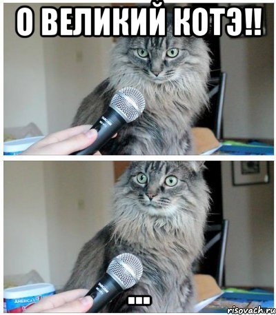 О великий Котэ!! ..., Комикс  кот с микрофоном