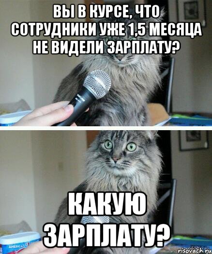 Вы в курсе, что сотрудники уже 1,5 месяца не видели зарплату? Какую зарплату?, Комикс  кот с микрофоном