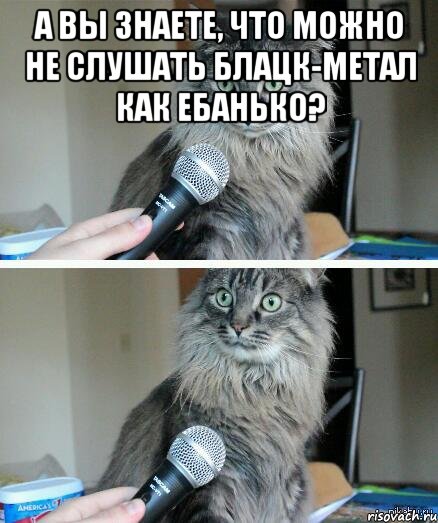 А вы знаете, что можно не слушать блацк-метал как ебанько? , Комикс  кот с микрофоном