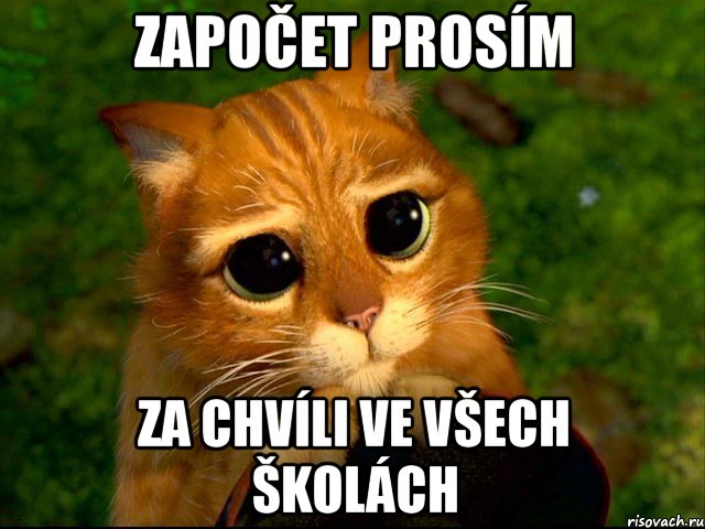 započet prosím za chvíli ve všech školách, Мем кот из шрека