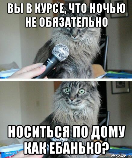 Вы в курсе, что ночью не обязательно носиться по дому как ебанько?, Комикс  кот с микрофоном