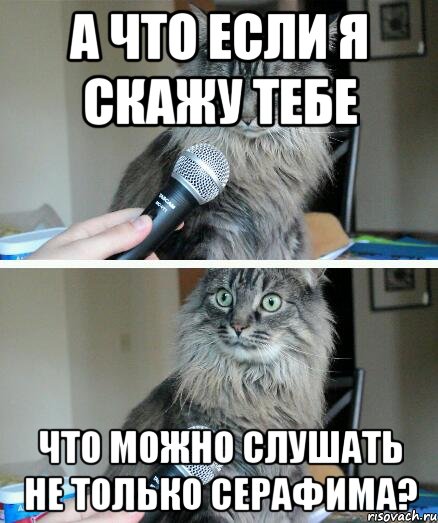 А ЧТО ЕСЛИ Я СКАЖУ ТЕБЕ ЧТО МОЖНО СЛУШАТЬ НЕ ТОЛЬКО СЕРАФИМА?, Комикс  кот с микрофоном