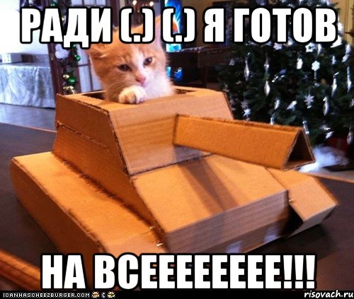 Ради (.) (.) я готов НА ВСЕЕЕЕЕЕЕЕ!!!, Мем Котэ танкист