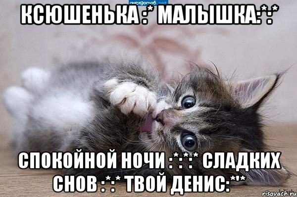 КсюШеНьКа :* МаЛыШкА:*:* СпОкОйНой Ночи :*:*:* СлАдКиХ СнОв :*:* ТвОй Денис:*'*, Мем  котенок