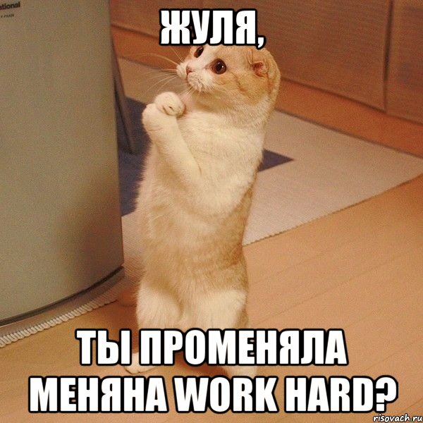 Жуля, ты променяла меняна work hard?, Мем  котэ молится