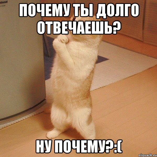 Почему ты долго отвечаешь? Ну почему?:(, Мем  котэ молится