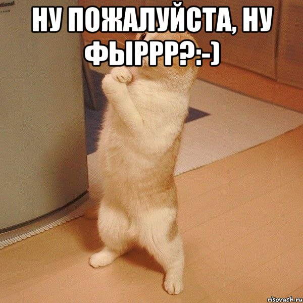 Ну пожалуйста, ну Фыррр?:-) , Мем  котэ молится