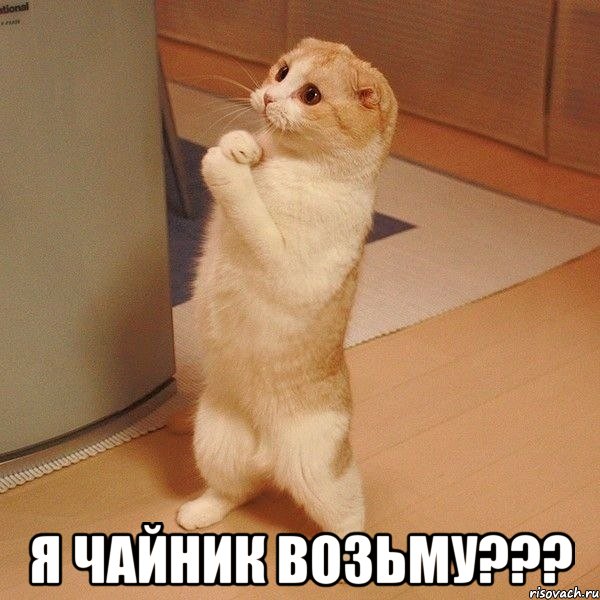  я чайник возьму???, Мем  котэ молится