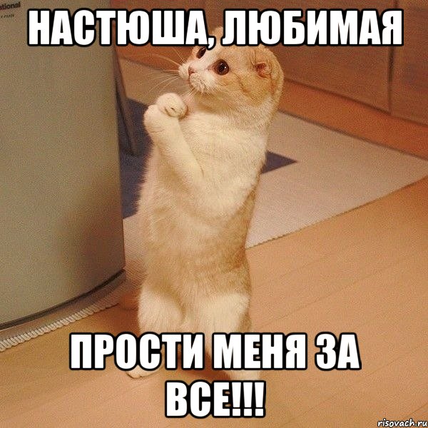 Настюша, Любимая Прости меня за все!!!, Мем  котэ молится