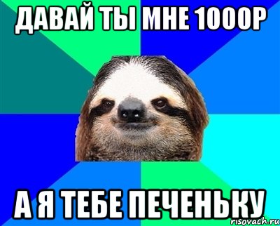 давай ты мне 1000р а я тебе печеньку