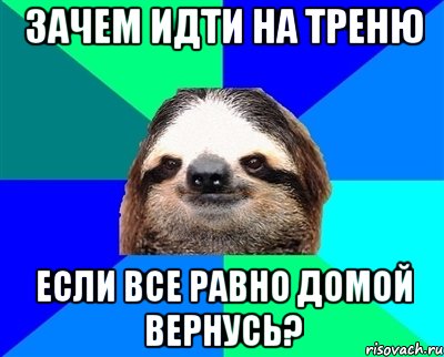 ЗАЧЕМ ИДТИ НА ТРЕНЮ ЕСЛИ ВСЕ РАВНО ДОМОЙ ВЕРНУСЬ?, Мем Ленивец