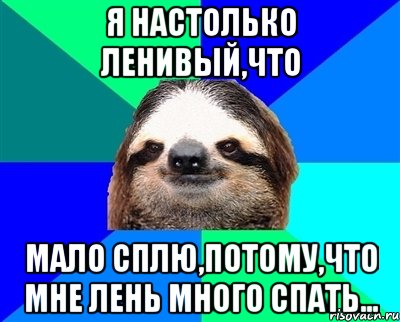 я настолько ленивый,что мало сплю,потому,что мне лень много спать..., Мем Ленивец