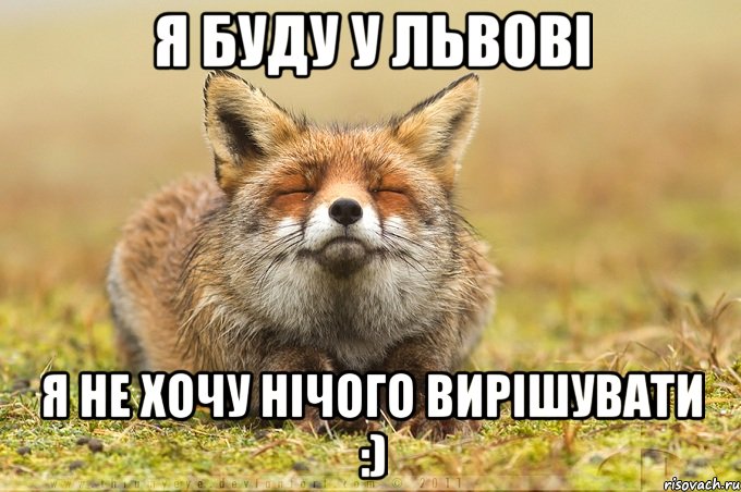 Я буду у Львові Я не хочу нічого вирішувати :), Мем лиса фыр-фыр-фыр