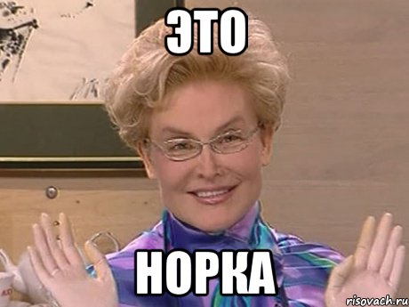 ЭТО НОРКА