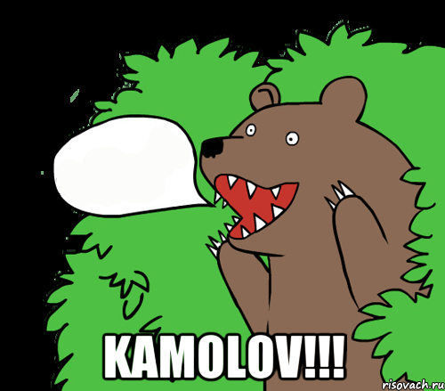  KAMOLOV!!!, Комикс медведь из кустов