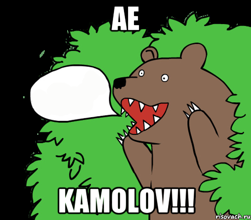 ae KAMOLOV!!!, Комикс медведь из кустов