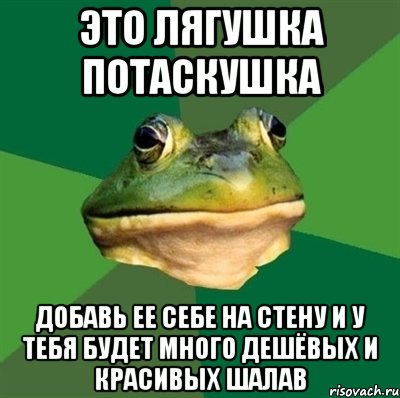 это лягушка потаскушка добавь ее себе на стену и у тебя будет много дешёвых и красивых шалав, Мем  Мерзкая жаба