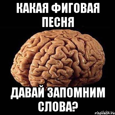 Давай запомним это. Мемы про мозг. Мемы про мозги. Мемы мой мозг на контрольной.