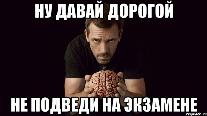 Надеюсь не подведу. Мем не подведите. Давай дорогая. Мемы про экзамен по обществознанию.